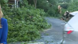 Massive tree knocks down scaffolding, blocks road in Wakefield News Clip