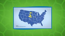 The Mating Dance of This Endangered Chicken Is Pretty Funny! Instructional Video