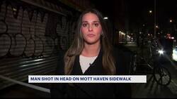 NYPD: Man shot in the head in The Bronx; suspect sought News Clip