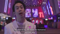 Paws and popcorn: Thai cinema goes pet-friendly News Clip