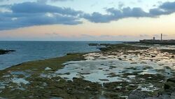 Wide Angle: Reef and an Ocean Stock Footage