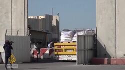 Rescuing animals: Gaza's pets traumatised by Israeli shelling News Clip