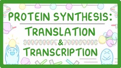 How are Proteins Made? - Transcription and Translation Explained #66 Instructional Video