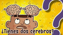 ¿Tienes dos cerebros? Instructional Video