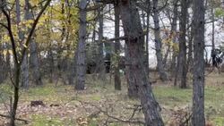 CLEAN : Artillery battles engulf Ukraine's southern front News Clip