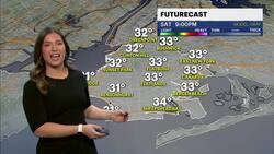 Mostly sunny and mild Sunday for Brooklyn News Clip