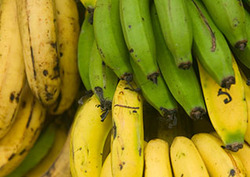 Ripening Fruit Instructional Video