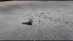 Turkey steps up Syria assault against Kurdish forces causing thousands to flee News Clip