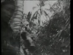 Scenes from war in Malaya and Burma, 1948 Stock Footage