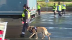 CLEAN : Drugs: customs operation at the Virsac tollgate (Gironde) News Clip