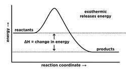 Energy Diagrams, Catalysts, and Reaction Mechanisms Instructional Video