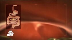 Sweet vs. Salty: Exploring Our Taste Preferences Instructional Video