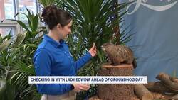 Essex County’s Lady Edwina will predict weather, Super Bowl winner this Groundhog Day News Clip