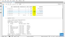 Python for Data Analysis: Step-By-Step with Projects - Pandas Data Types Overview Instructional Video