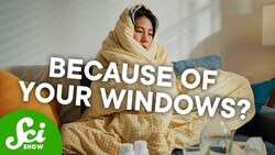 Are Energy-Efficient Windows Bad For Us? Instructional Video
