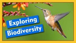 Exploring Biodiversity | Compilation Instructional Video