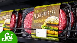 The Meatless Meats of the Future Instructional Video