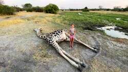 On Safari with Nala - Circle of life Instructional Video