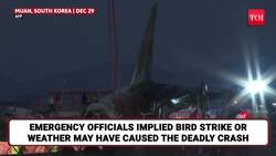 Jeju Air Tragedy: Airline CEO Apologises On Cam, Initial Investigation Uncovers Shocking Oversights News Clip