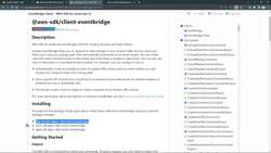 AWS Serverless Microservices with Patterns and Best Practices - Start Developing Checkout Basket Function - Install npm Package - @aws-sdk Instructional Video