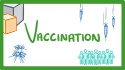 GCSE Biology - What Are Vaccines? Are They Safe? How Do They Work? Vaccines Explained #39 Instructional Video