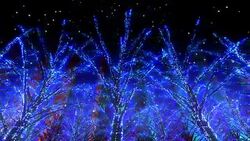 Neon Tree illumination Stock Footage