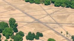 Aerials of dry yellow grass in London News Clip
