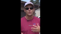 What to keep in mind if you have wasps in your yard News Clip