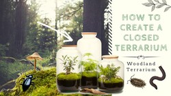 How to Create a Closed Native Terrarium Instructional Video
