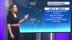 The Dog Days of Summer Instructional Video