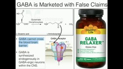 Sports Nutrition Discussion Board 4 Instructional Video