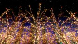 Neon Tree illumination Stock Footage