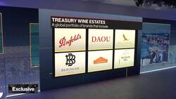 Treasury Wine CEO on Strategy, China Demand & Trade News Clip