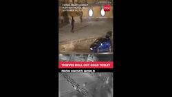 Caught On Cam: $6mn Gold Toilet Heist From UK’s Blenheim Palace News Clip