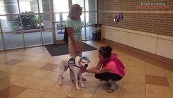 Therapy Dogs Are Helping Kids With Trauma Feel Calm Enough To Tell Their Stories Instructional Video