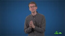 The Secret to Becoming Immune to Mosquito Bites Instructional Video