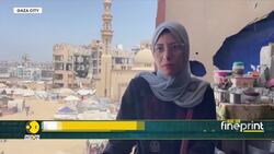 Israel-Gaza War: Starvation crisis deepens, children in Gaza now have one ambition: finding food! News Clip