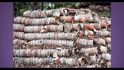 Did the Japanese Beat Columbus to the Americas? Instructional Video