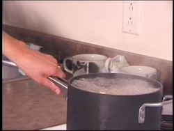 Nervous and Endocrine Systems: the Nervous System Instructional Video