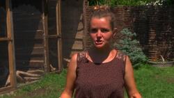 Animals seek respite from summer weather Instructional Video