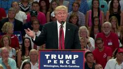 Trump suggests gun-rights advocates could stop Clinton News Clip