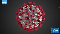 How Will Sunday's Democratic Debate Be Different Without A Live Crowd? News Clip