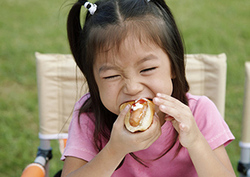 Factpack: Digestion Instructional Video