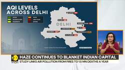Delhi Air Pollution: Farm Fields Burning In North India Partly Responsible For Smog: Study News Clip