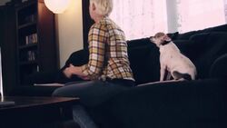 How to Use Dog Whisperer Tips to Calm an Overactive Dog Instructional Video