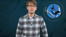 Animals That Do Drugs Instructional Video