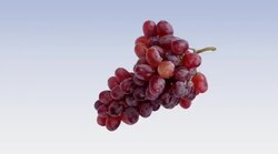 Not Your Average Baked Potato Instructional Video