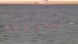 Algal blooms shut down more HV beaches, lawmakers push for better remediation strategy Instructional Video