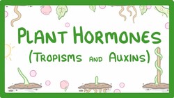 Plant Hormones - Tropisms & Auxins #52 Instructional Video