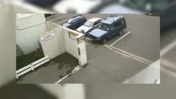 Earthquakes: Causes, Magnitude, and Impacts Instructional Video